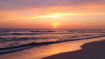 Frame 122